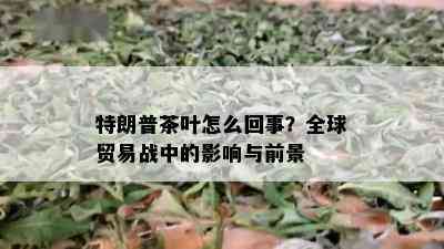 特朗普茶叶怎么回事？全球贸易战中的影响与前景