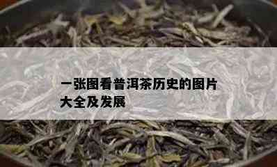 一张图看普洱茶历史的图片大全及发展