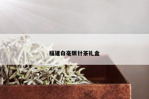 福建白毫银针茶礼盒