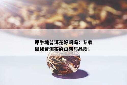 犀牛塘普洱茶好喝吗：专家揭秘普洱茶的口感与品质！