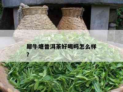 犀牛塘普洱茶好喝吗怎么样？