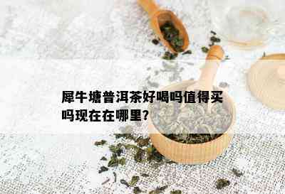 犀牛塘普洱茶好喝吗值得买吗现在在哪里？