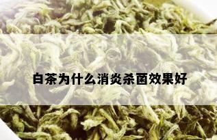 白茶为什么消炎杀菌效果好