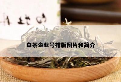 白茶企业号排版图片和简介