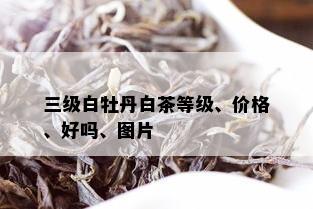 三级白牡丹白茶等级、价格、好吗、图片