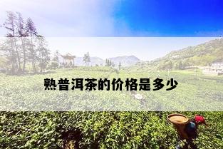 熟普洱茶的价格是多少