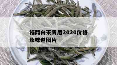 福鼎白茶青眉2020价格及味道图片