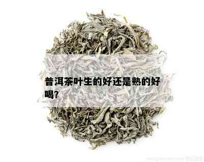 普洱茶叶生的好还是熟的好喝？