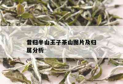 昔归半山王子茶山图片及归属分析