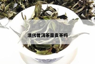 清代普洱茶是贡茶吗