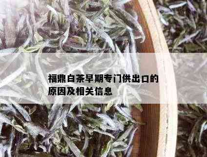 福鼎白茶早期专门供出口的原因及相关信息