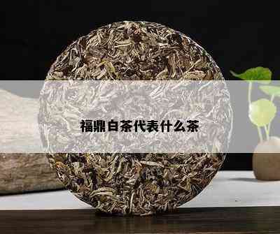 福鼎白茶代表什么茶