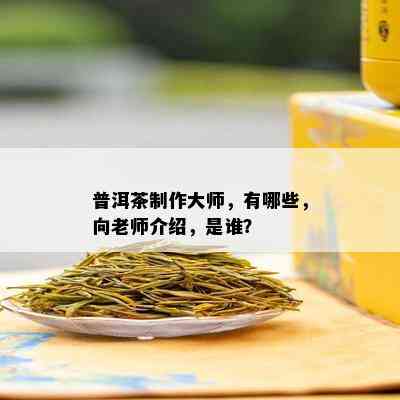 普洱茶制作大师，有哪些，向老师介绍，是谁？