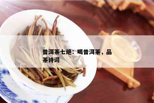 普洱茶七绝：喝普洱茶，品茶诗词