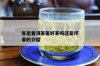 生态普洱茶是好茶吗还是坏茶的介绍