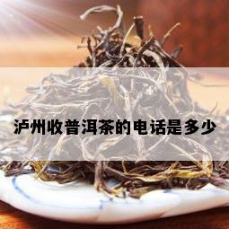 泸州收普洱茶的电话是多少