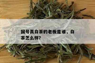 国号真白茶的老板是谁，白茶怎么样？