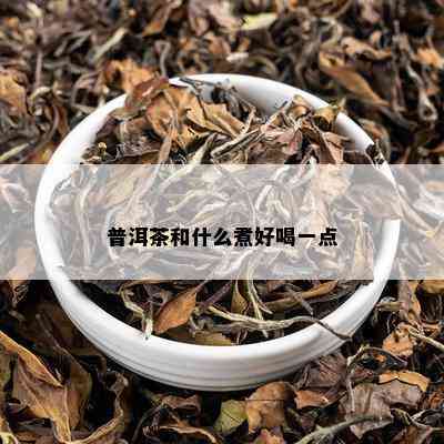 普洱茶和什么煮好喝一点