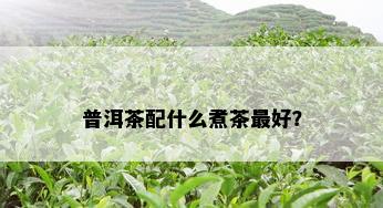 普洱茶配什么煮茶更好？