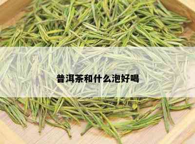 普洱茶和什么泡好喝