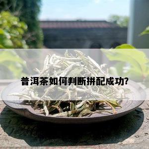 普洱茶如何判断拼配成功？