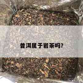 普洱属于岩茶吗？