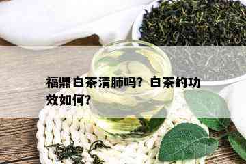 福鼎白茶清肺吗？白茶的功效如何？