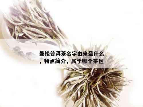 曼松普洱茶名字由来是什么，特点简介，属于哪个茶区