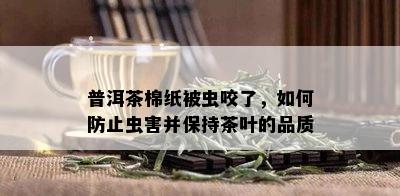 普洱茶棉纸被虫咬了，如何防止虫害并保持茶叶的品质