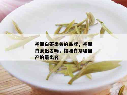 福鼎白茶出名的品牌，福鼎白茶出名吗，福鼎白茶哪里产的最出名