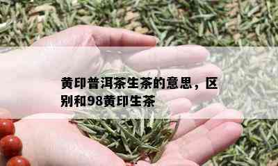 黄印普洱茶生茶的意思，区别和98黄印生茶