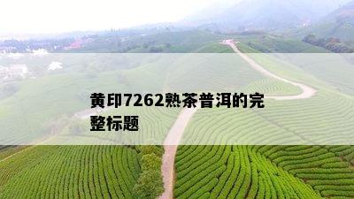 黄印7262熟茶普洱的完整标题