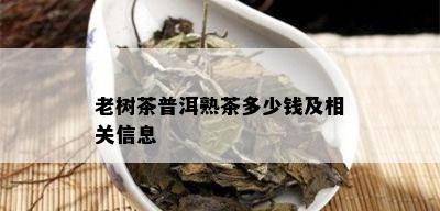 老树茶普洱熟茶多少钱及相关信息