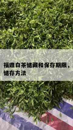 福鼎白茶储藏和保存期限，储存方法