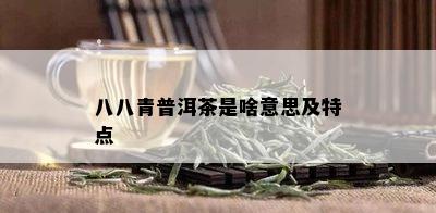 八八青普洱茶是啥意思及特点