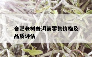 合肥老树普洱茶零售价格及品质评估