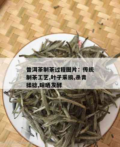 普洱茶制茶过程图片：传统制茶工艺,叶子采摘,杀青揉捻,晾晒发酵