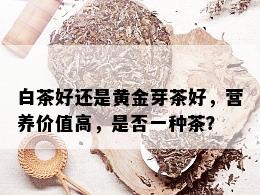 白茶好还是黄金芽茶好，营养价值高，是否一种茶？