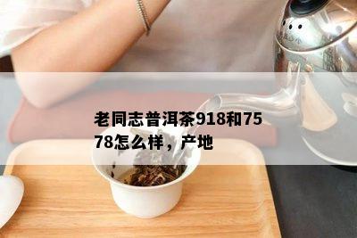 老同志普洱茶918和7578怎么样，产地