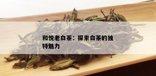 和悦老白茶：探索白茶的独特魅力