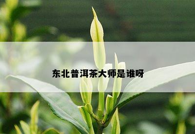 东北普洱茶大师是谁呀