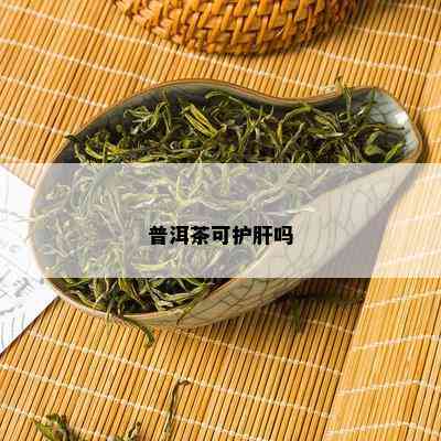 普洱茶可护肝吗