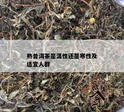 熟普洱茶是温性还是寒性及适宜人群