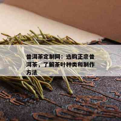 普洱茶定制网：选购正宗普洱茶，了解茶叶种类和制作方法