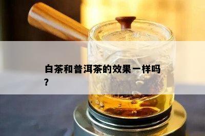 白茶和普洱茶的效果一样吗？