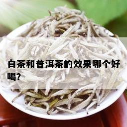 白茶和普洱茶的效果哪个好喝？