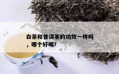 白茶和普洱茶的功效一样吗，哪个好喝？