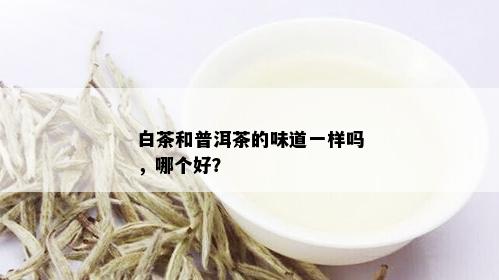 白茶和普洱茶的味道一样吗，哪个好？