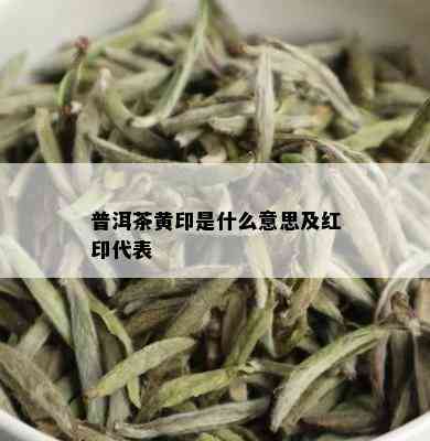 普洱茶黄印是什么意思及红印代表