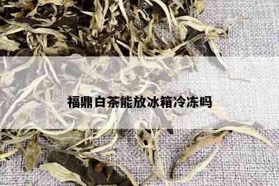 福鼎白茶能放冰箱冷冻吗